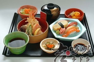 吉哆啦日本料理投資解析 市場前景、盈利空間與管理要點